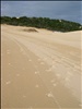 Fraser Island March 2008 - 58.jpg